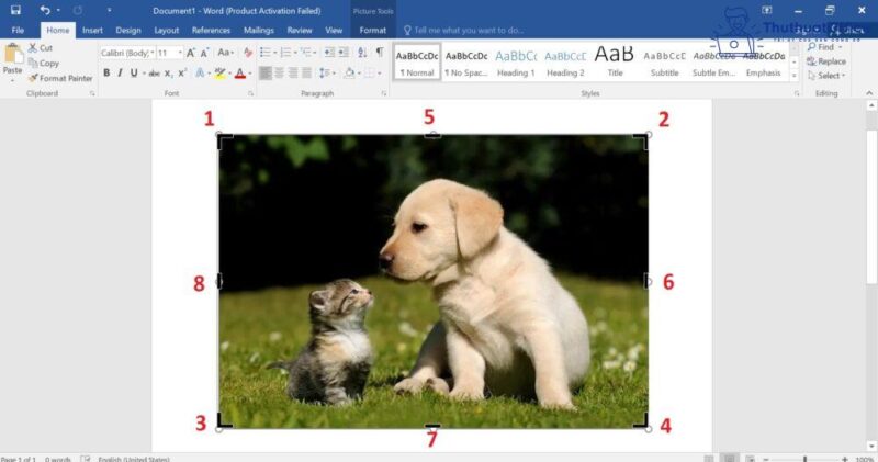Cách cắt ảnh trong Word và nhiều ứng dụng khác mà bạn có thể chưa biết 4 cách cắt ảnh trong Word