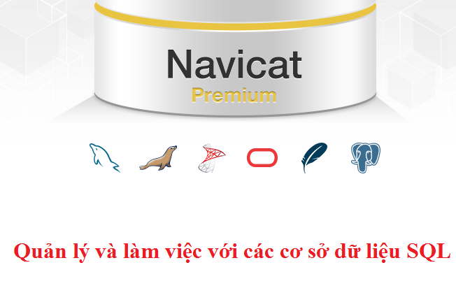 premiumsoftnavicat-1 Premiumsoftnavicat