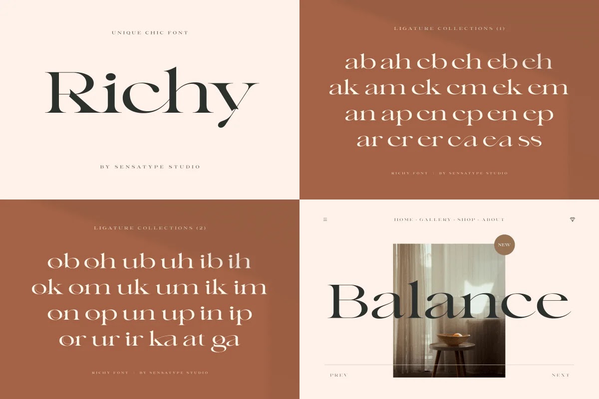 unique-and-classy-modern-font-bundles-6
