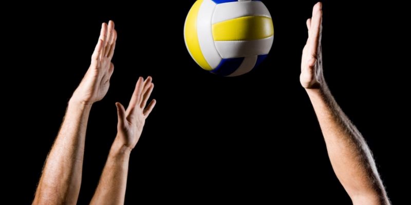 Các loại kèo bóng chuyền đẳng cấp, xanh chín nhất